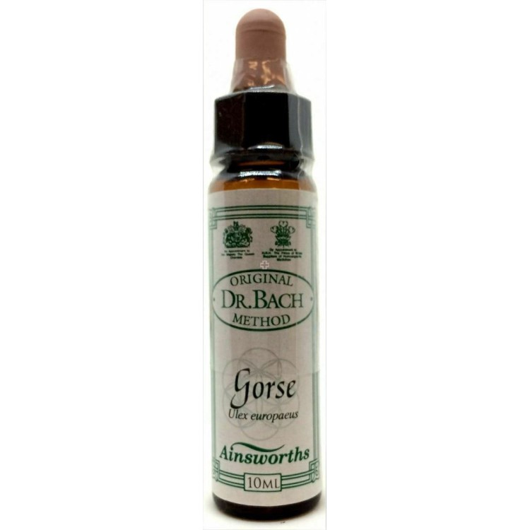 Ainsworths Gorse Bach Flower Remedy 10ml
