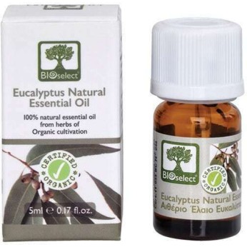 Bioselect Αιθέριο Έλαιο Ευκάλυπτος 5ml