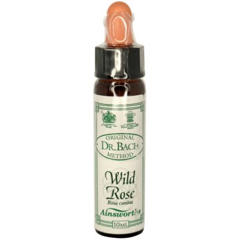 Ainsworths Wild Rose Bach Flower Remedy 10ml