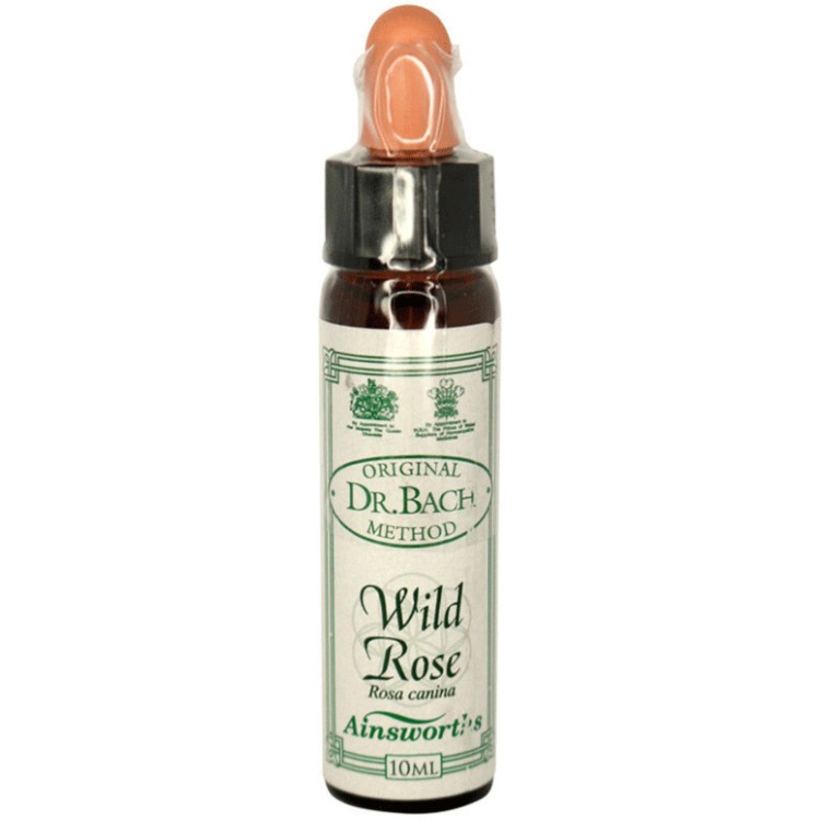 Ainsworths Wild Rose Bach Flower Remedy 10ml Βότανα-Φυτικά εκχυλίσματα