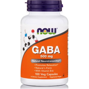 Now Foods Gaba 500mg + B-6 100 Κάψουλες