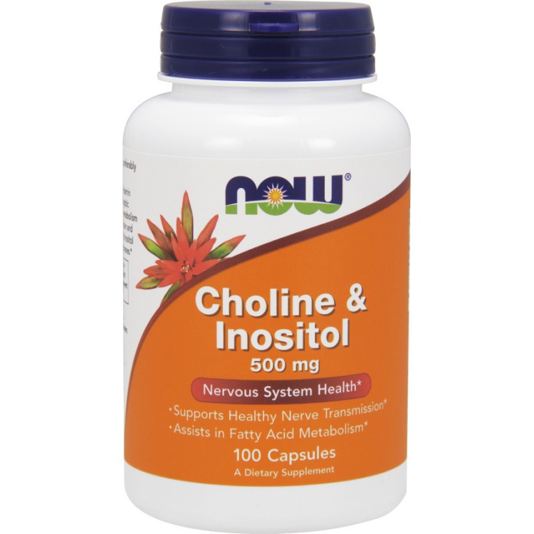 Now Foods Choline & Inositol 500mg 100 κάψουλες