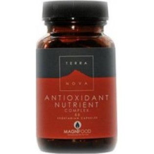TerraNova Antioxidant Nutrient 50 κάψουλες