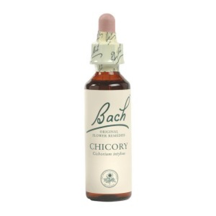 Ainsworths Chicory Bach Flower Remedy 10ml