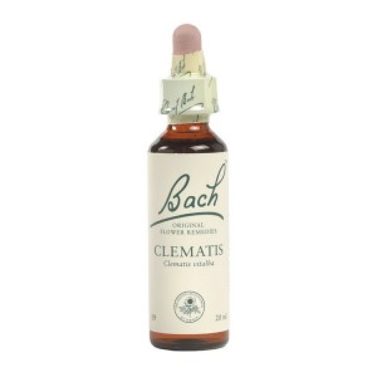 Ainsworths Clematis Bach Flower Remedy 10ml