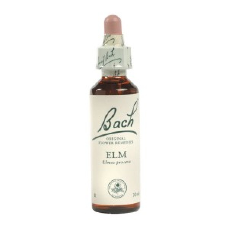 Ainsworths Elm Bach Flower Remedy 10ml