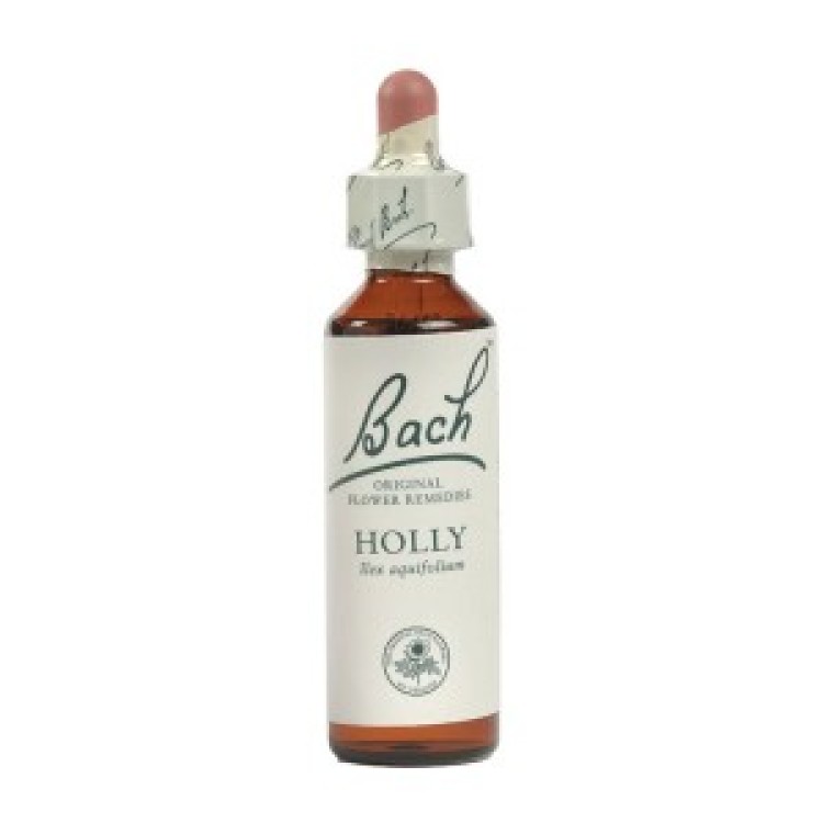 Ainsworths Holly Bach Flower Remedy 10ml Βότανα-Φυτικά εκχυλίσματα