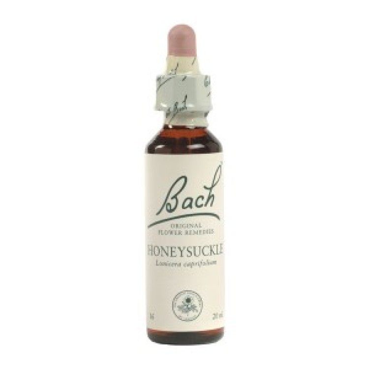 Ainsworths Honeysuckle Bach Flower Remedy 10ml Βότανα-Φυτικά εκχυλίσματα