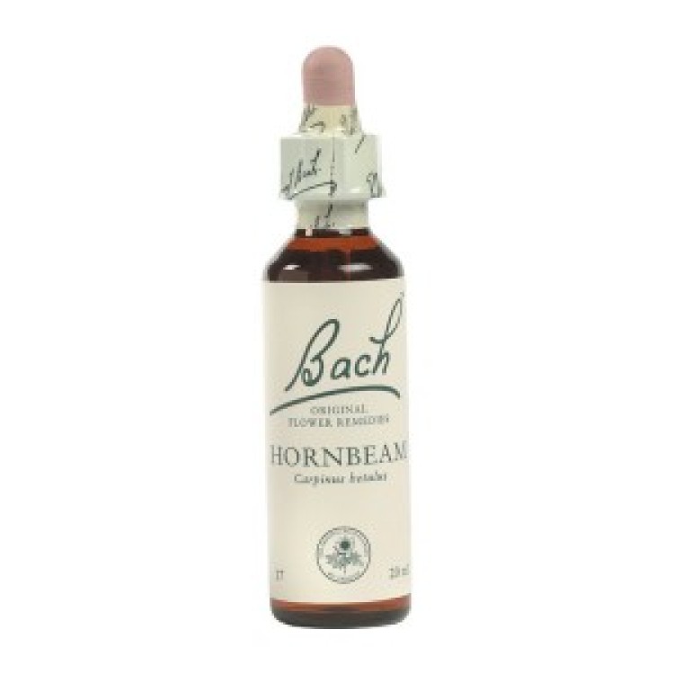 Ainsworths Hornbeam Bach Flower Remedy 10ml Βότανα-Φυτικά εκχυλίσματα