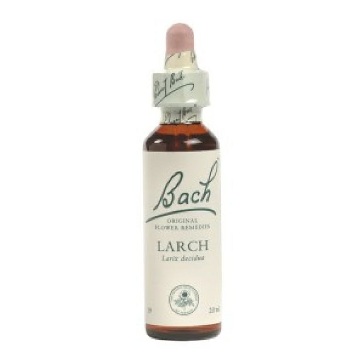 Ainsworths Larch Bach Flower Remedy 10ml