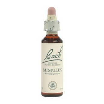 Ainsworths Dr.Bach Mimulus 10ml