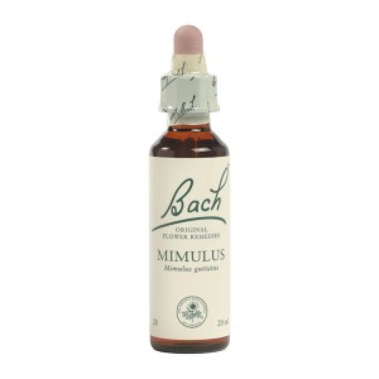 Ainsworths Dr.Bach Mimulus 10ml