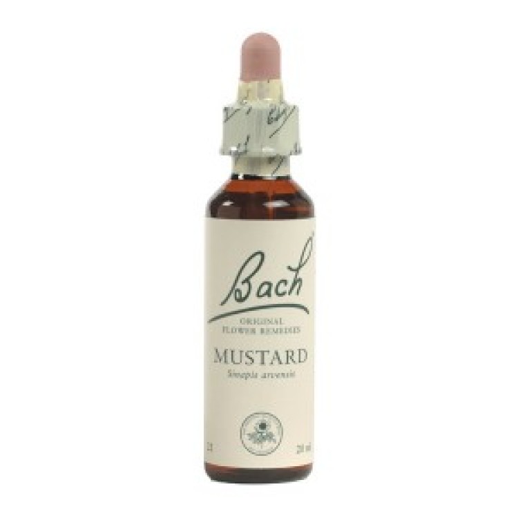 Ainsworths Mustard Bach Flower Remedy 10ml