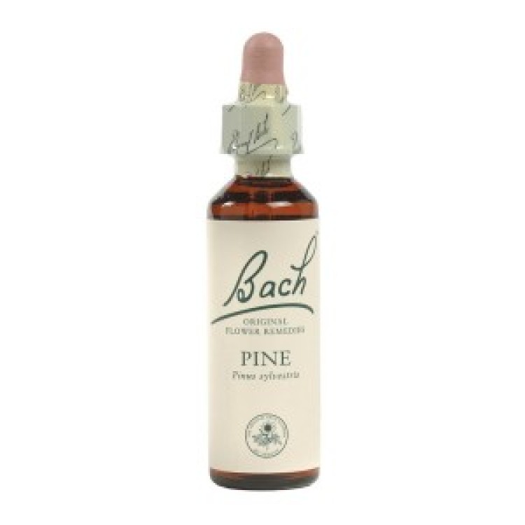 Ainsworths Pine Bach Flower Remedy 10ml