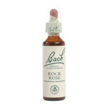 Ainsworths Rock Rose Bach Flower Remedy 10ml