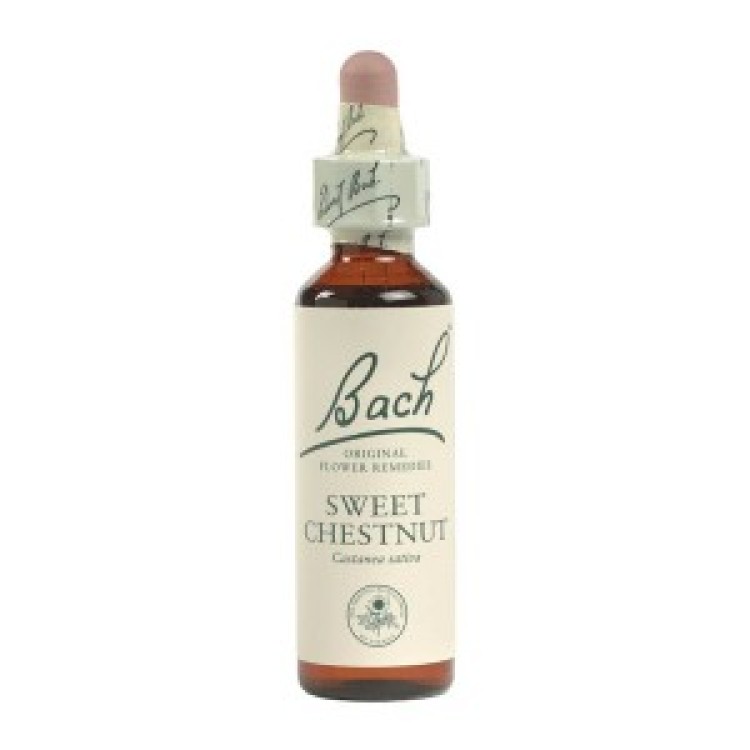 Ainsworths Sweet Chestnut Bach Flower Remedy 10ml