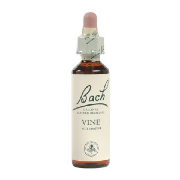 Ainsworths Vine Bach Flower Remedy 10ml