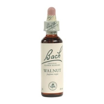 Ainsworths Walnut Bach Flower Remedy 10ml