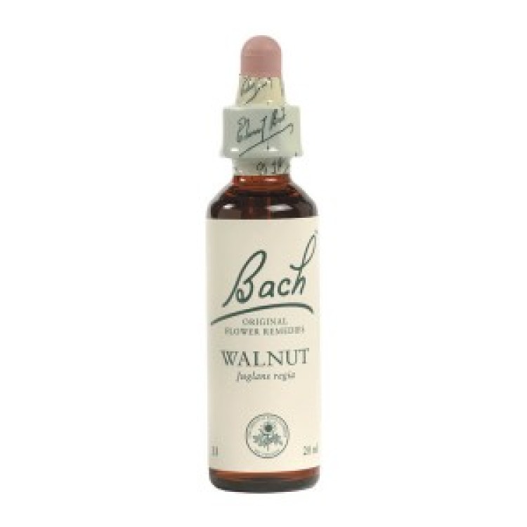 Ainsworths Walnut Bach Flower Remedy 10ml
