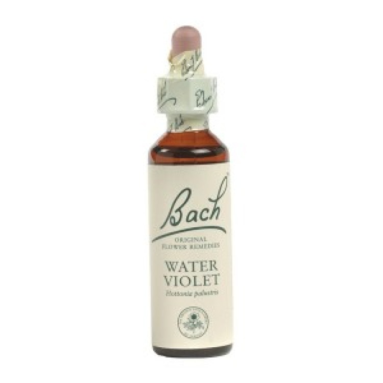 Ainsworths Water Violet Bach Flower Remedy 10ml