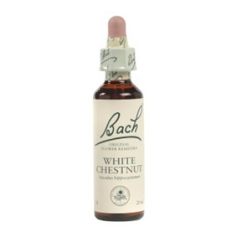 Ainsworths White Chestnut Bach Flower Remedy 10ml