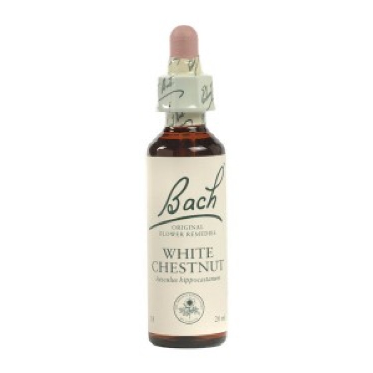 Ainsworths White Chestnut Bach Flower Remedy 10ml