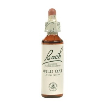 Ainsworths Wild Oat Bach Flower Remedy 10ml