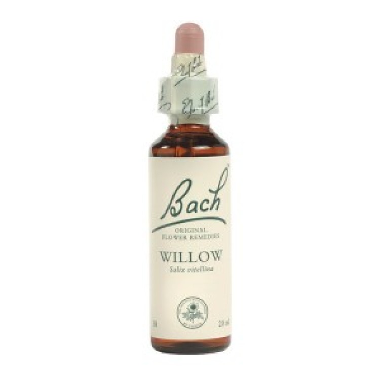 Ainsworths Dr.Bach Willow 10ml