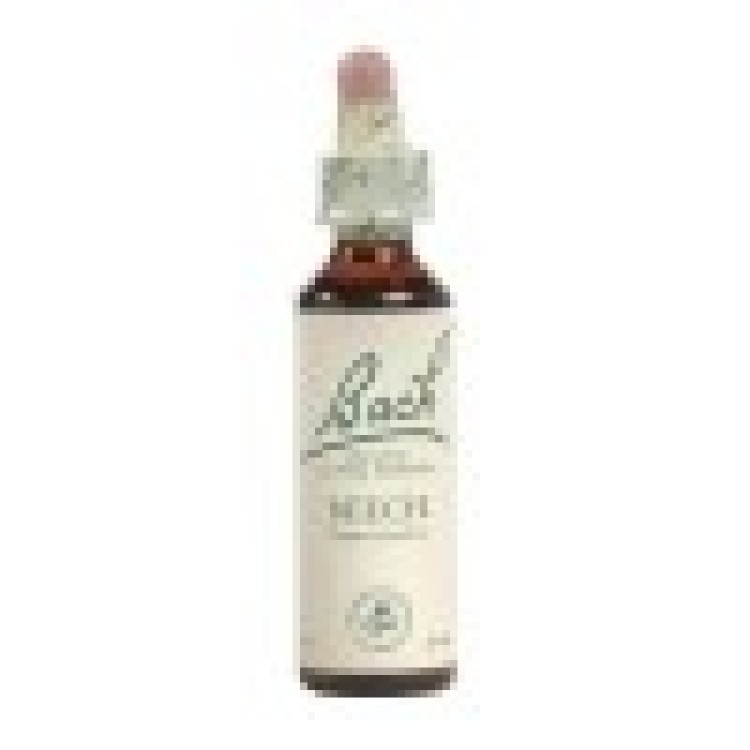 Ainsworths Dr Bach Beech 10ml