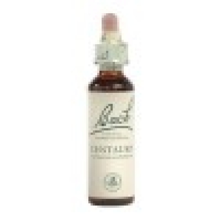 Ainsworths Centaury Bach Flower Remedy 10ml