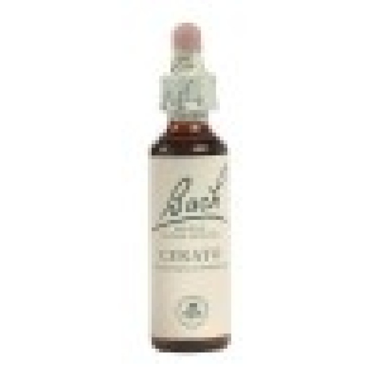 Ainsworths Cerato Bach Flower Remedy 10ml